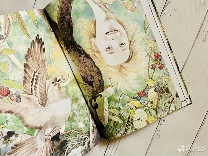 Алиса в Стране чудес. (Илл. Серджо)