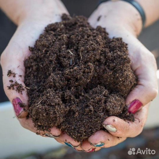 Конский перегной, коровий