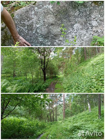 Экскурсия на камень Рериха