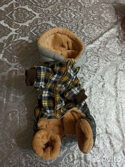 Куртка зимняя для йорка