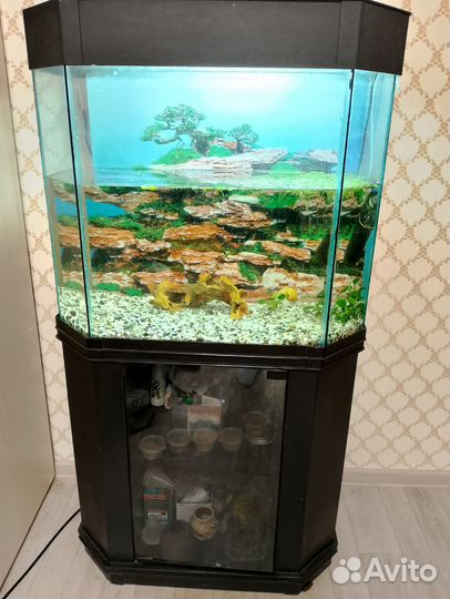 Аквариум с тумбой