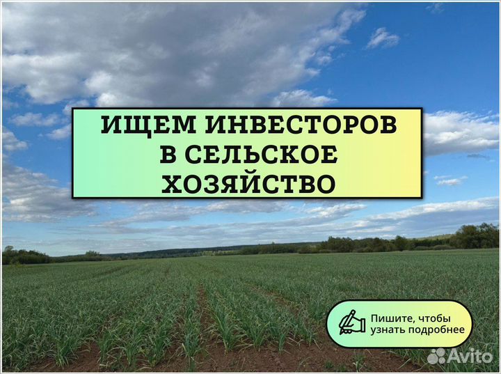 Инвестиции пассивный доход