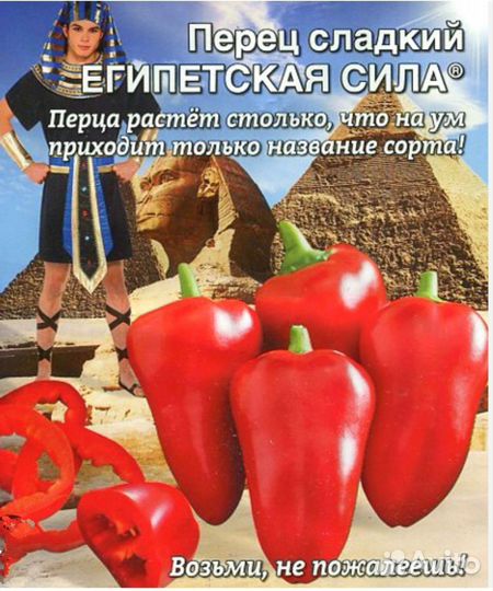 Семена сладкого перца