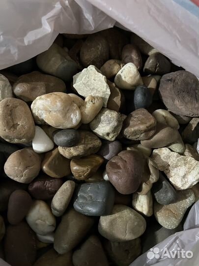 Аквариум Б/У