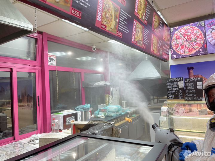 Уничтожение клопов, тараканов, блох