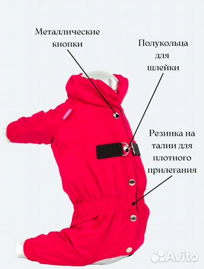 Одежда для собак мелких пород