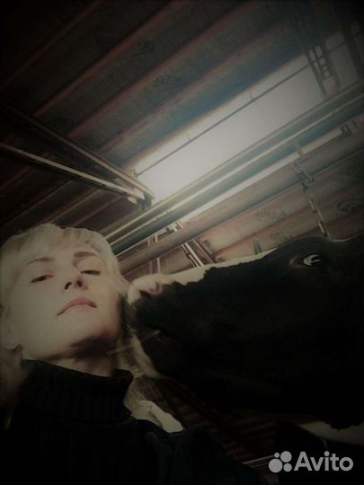 Зоотехник, руководитель предприятия