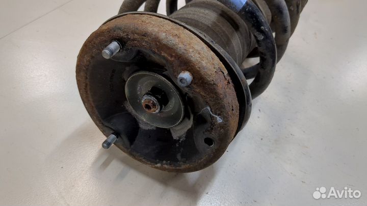 Амортизатор подвески BMW X5 E53, 2006