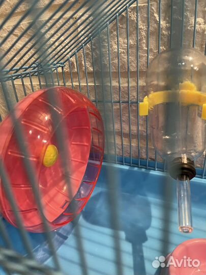 Клетка для грызунов