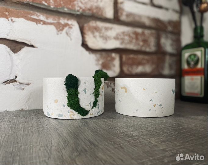 Кашпо для кактусови суккулент