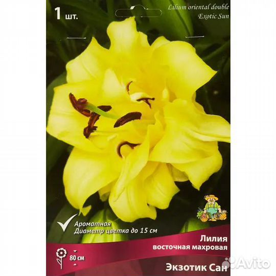 Лилии махровые