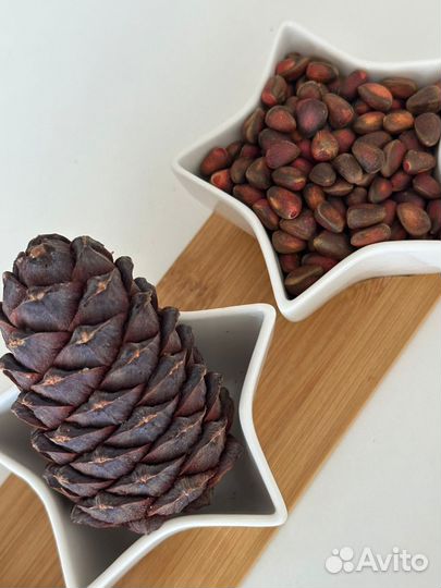 Орех кедровый урожай 2023