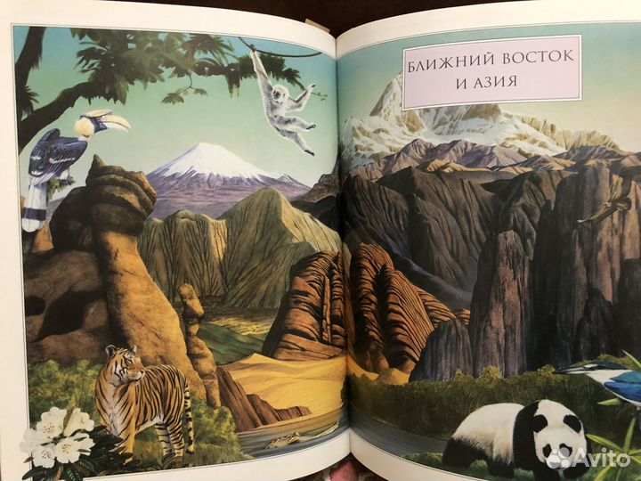 Энциклопедии