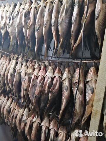 Вяленая / копченая рыба