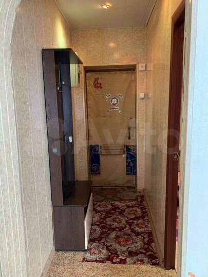 1-к. квартира, 28,8 м², 1/2 эт.