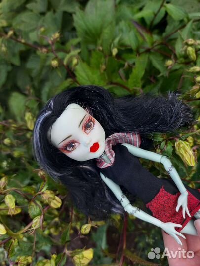 Монстр хай ооак