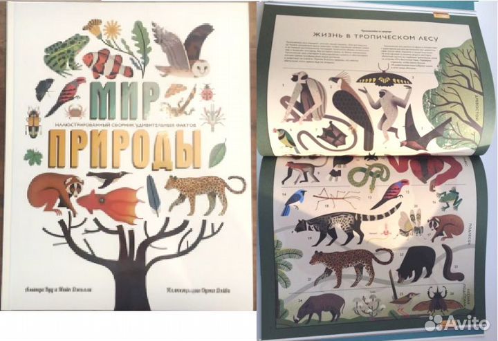 Мир природы Оуэн Дэйви Книга узлов Винди Чьен