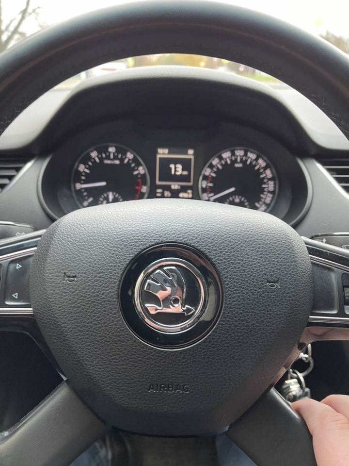 Skoda Octavia: фото владельца