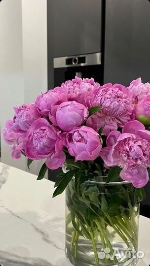 Пионы розовые сургут доставка