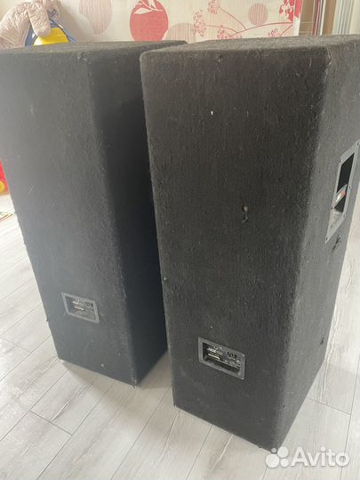 Концертные колонки jdl jrx 100