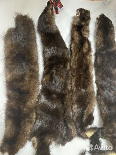 Шкура норки мех