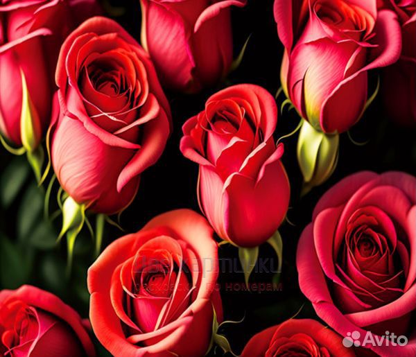 Алмазная мозаика 40x50 Букет нежных роз