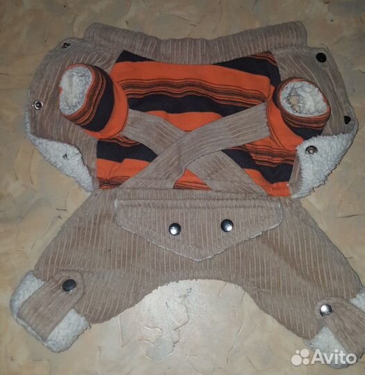 Комбинезон на маленькую собаку