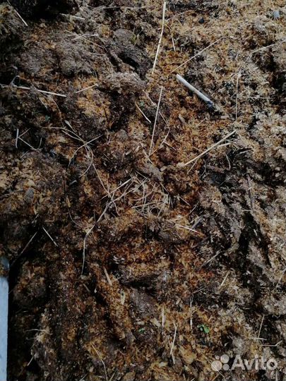 Навоз с фермы