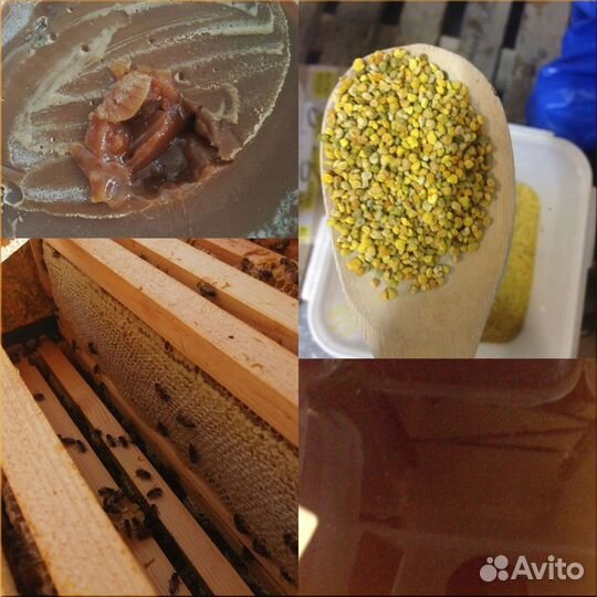 Мёд Липовый.Акация.Разнотравье оптом от 100 кг