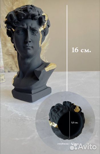 Бюст Давида кашпо голова Давида декор