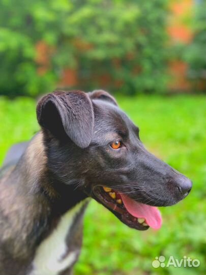 Каждый день может быть последним