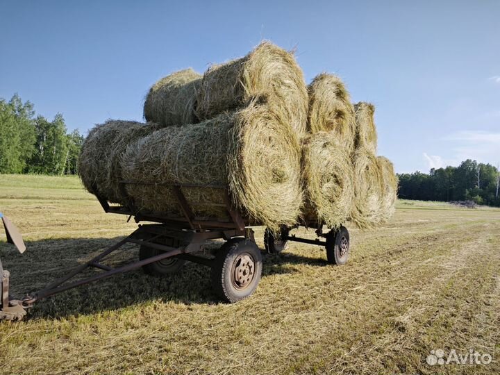 Сено в рулонах