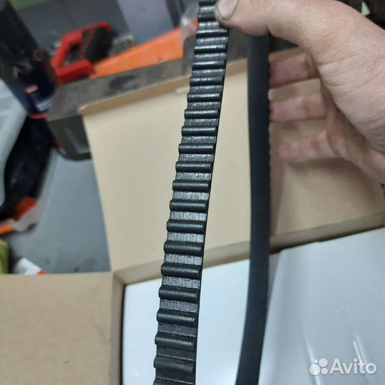 Renault logan ремень грм 1 6 8 клапанный