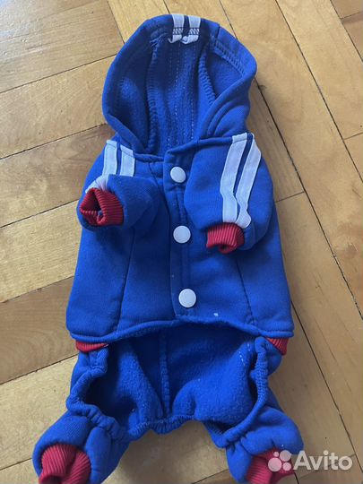 Одежда для маленьких собак