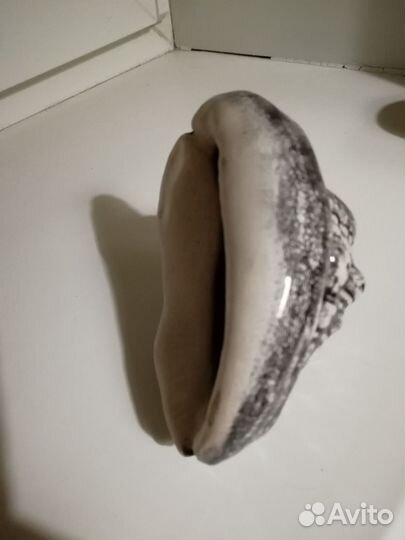 Ракушка декоративная, керамическая