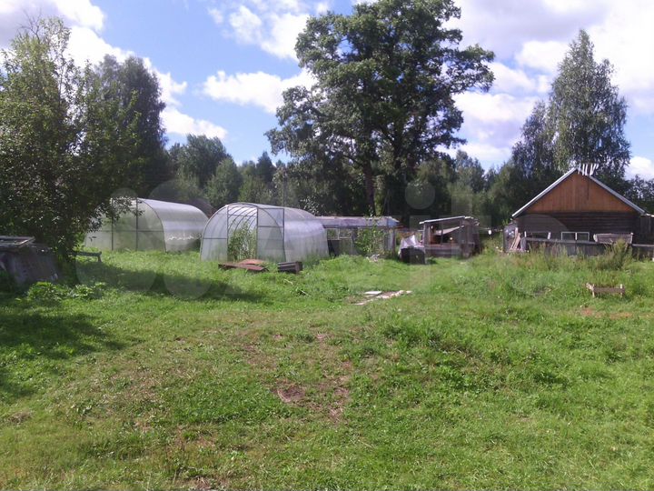 Участок 50 сот. (ИЖС)