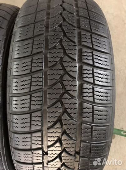 Tigar Winter 1 195/55 R15 85H