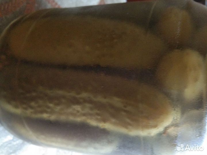 Огурцы солёные домашние