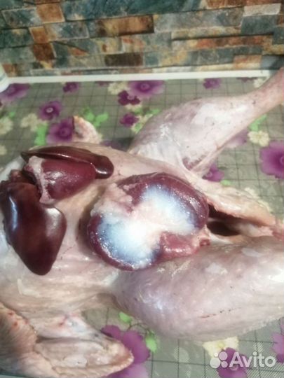 Мясо домашней птицы