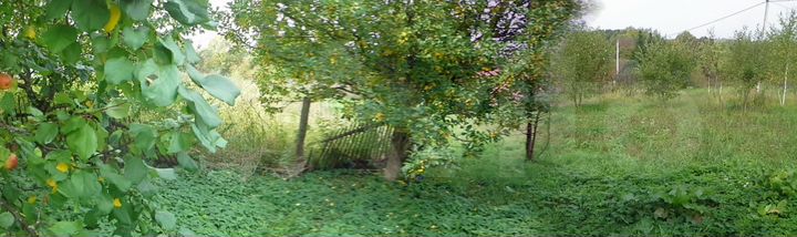 Участок 40 сот. (ИЖС)