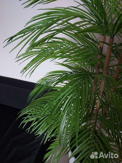 Искусственная пальма