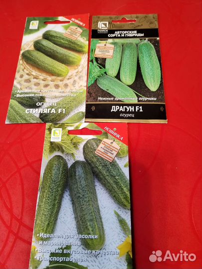 Семена огурцов