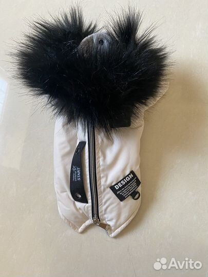 Одежда для собак