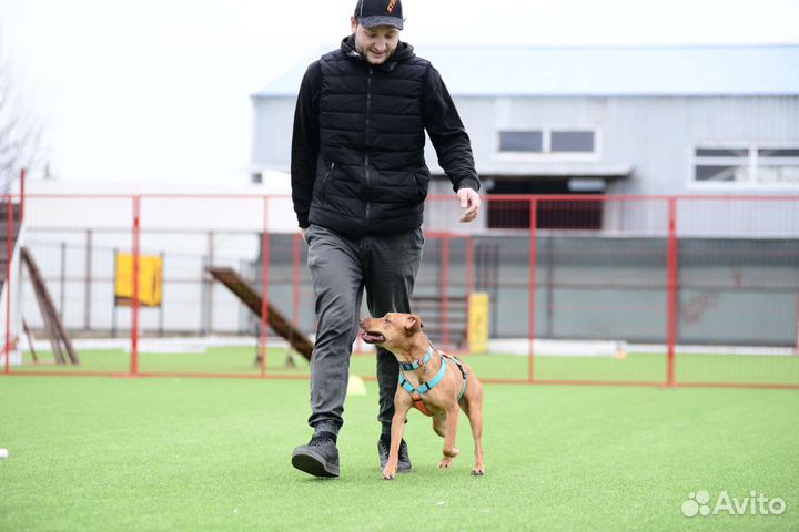 Кинолог-Зоопсихолог