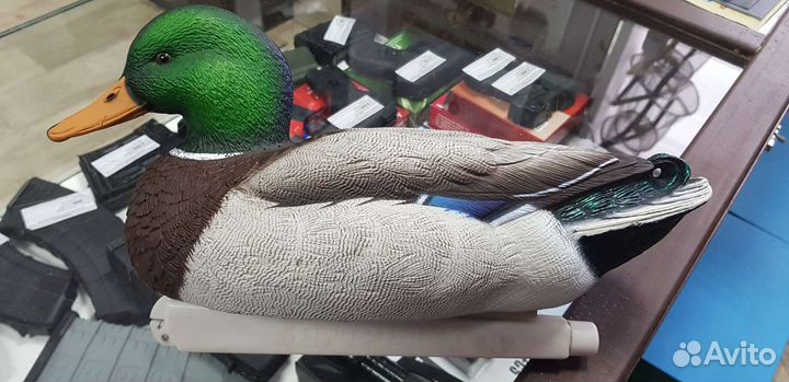 Чучела(муляжи) уток, гусей, голубей. леший, кикимо