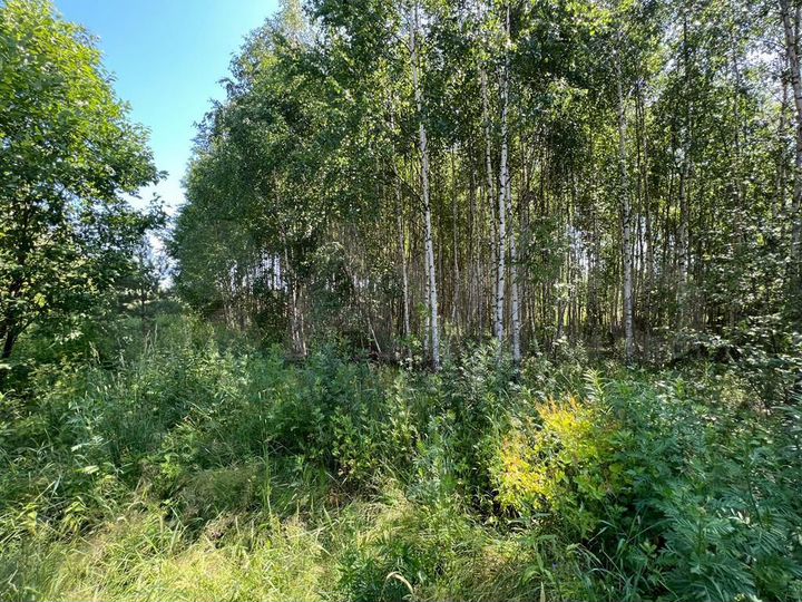 Участок 21,1 сот. (ИЖС)