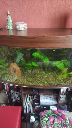 Аквариум для рыбок