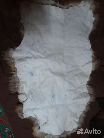 Овечья шкура