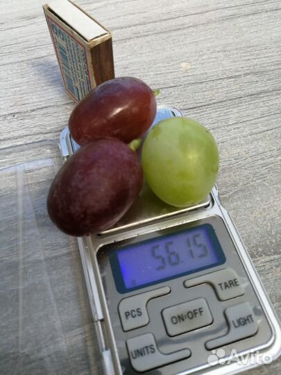 Саженцы и черенки винограда