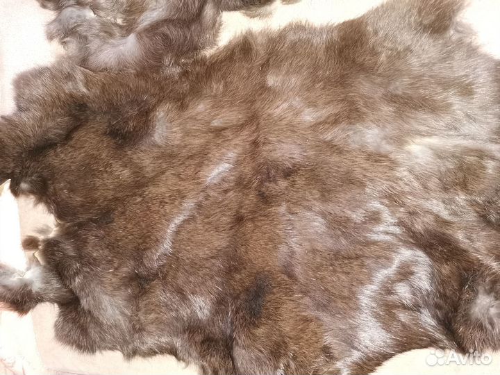 Шкурки норки